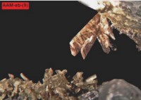 /album/galerie-photos/piquette-nord-p10-eboulis-epidote-3205-mod5-jpg1/